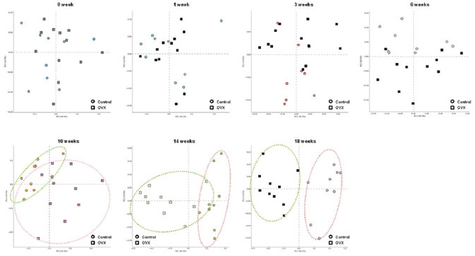 난소 절제 모델에서 장내 미생물 균총변화
