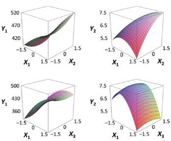 반응표면분석볍을 이용한 공정최적화
