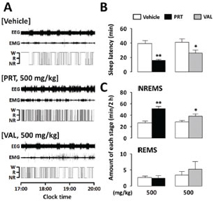 세계 유명제품과의 효능 비교 결과