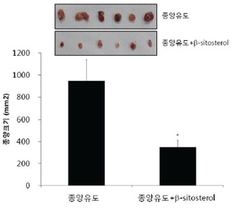 B-SitoSterol의 종양억제효능