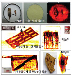 식품내 은닉된 이물 검사결과 및 활용