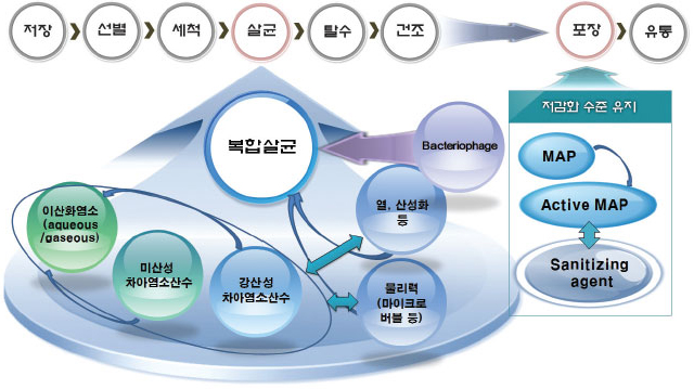 신선편이 농수산물의 미생물학적 복합저감화 및 유지기술의 개념도