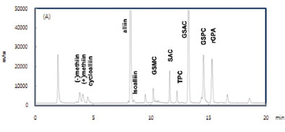 IT기반 u-RPC 기반기술구