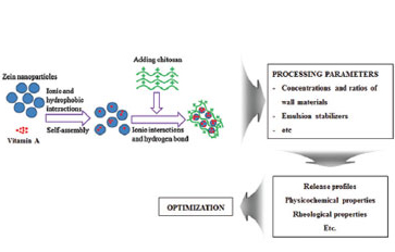 Vitamin A loaded Zein-chiotosan complex