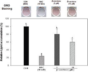 Effect of B-carotene