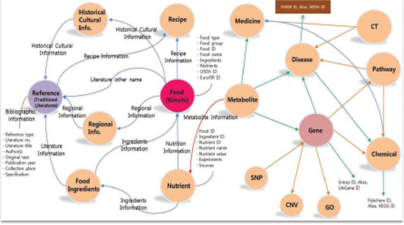발효식품 통합 오톨로지 구축화면