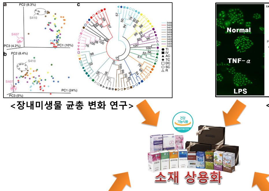Gut-axis기반 소재 개발 플랫폼