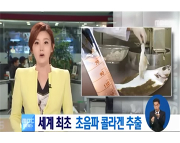 언론보도 (MBC 뉴스 등 5건