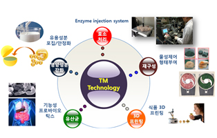 식품 물성 조절 기술