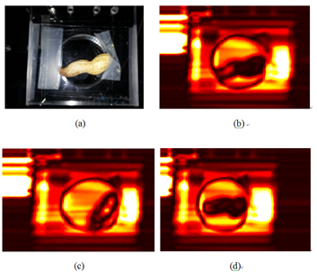 이물 검사 내용