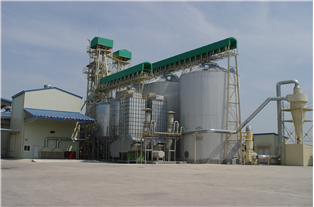 미곡종합처리장 기계건조