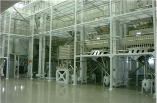 첨단 미곡종합처리장