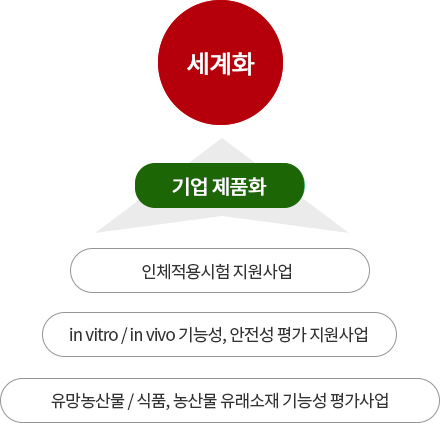 유망농산물 / 식품, 농산물 유래소재 기능성 평가사업 -> in vitro / in vivo 기능성, 안전성 평가 지원사업 -> 인체적용시험 지원사업 -> 기업 제품화 -> 세계화