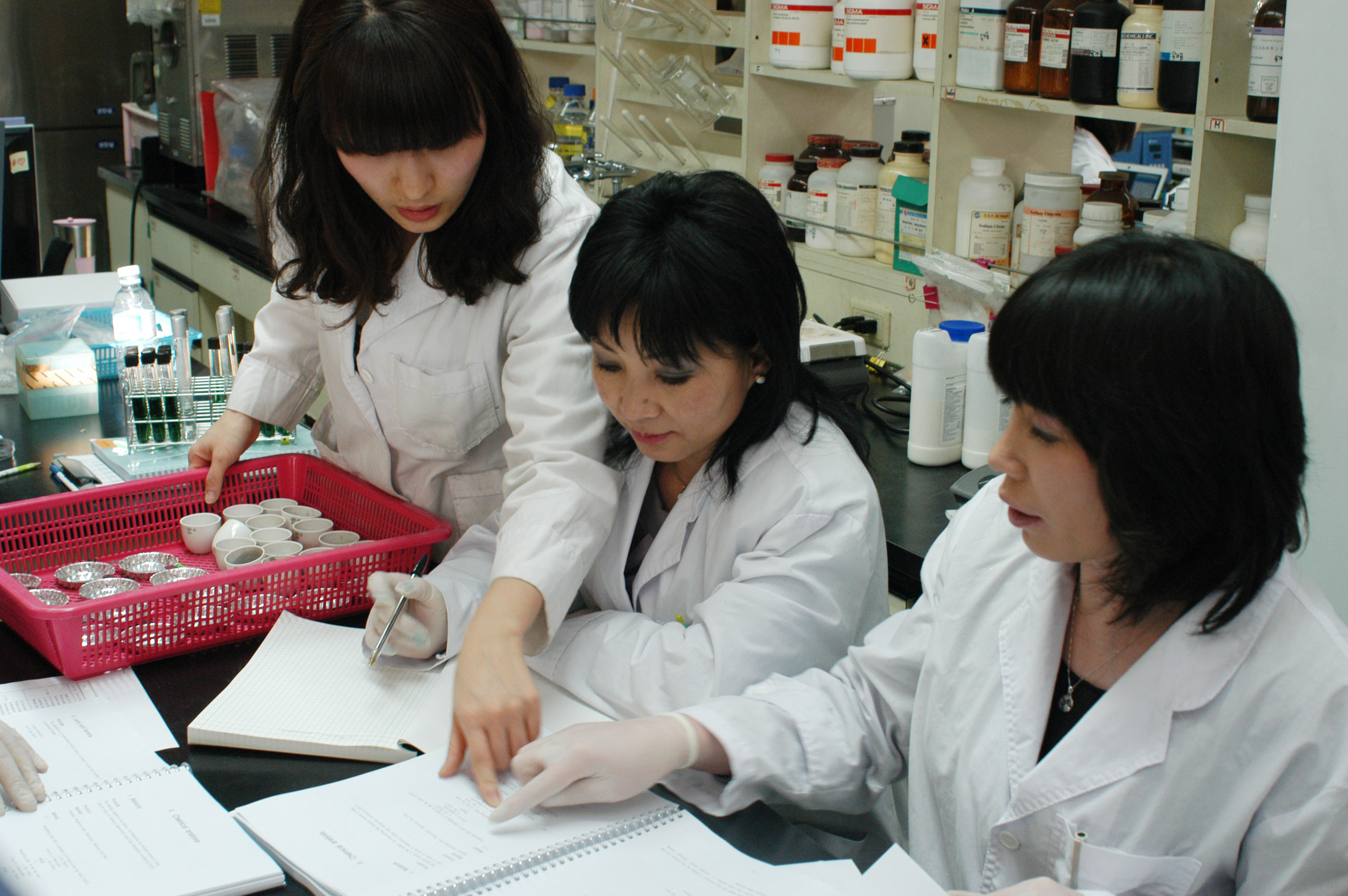 0113 몽골연수생 초청연수