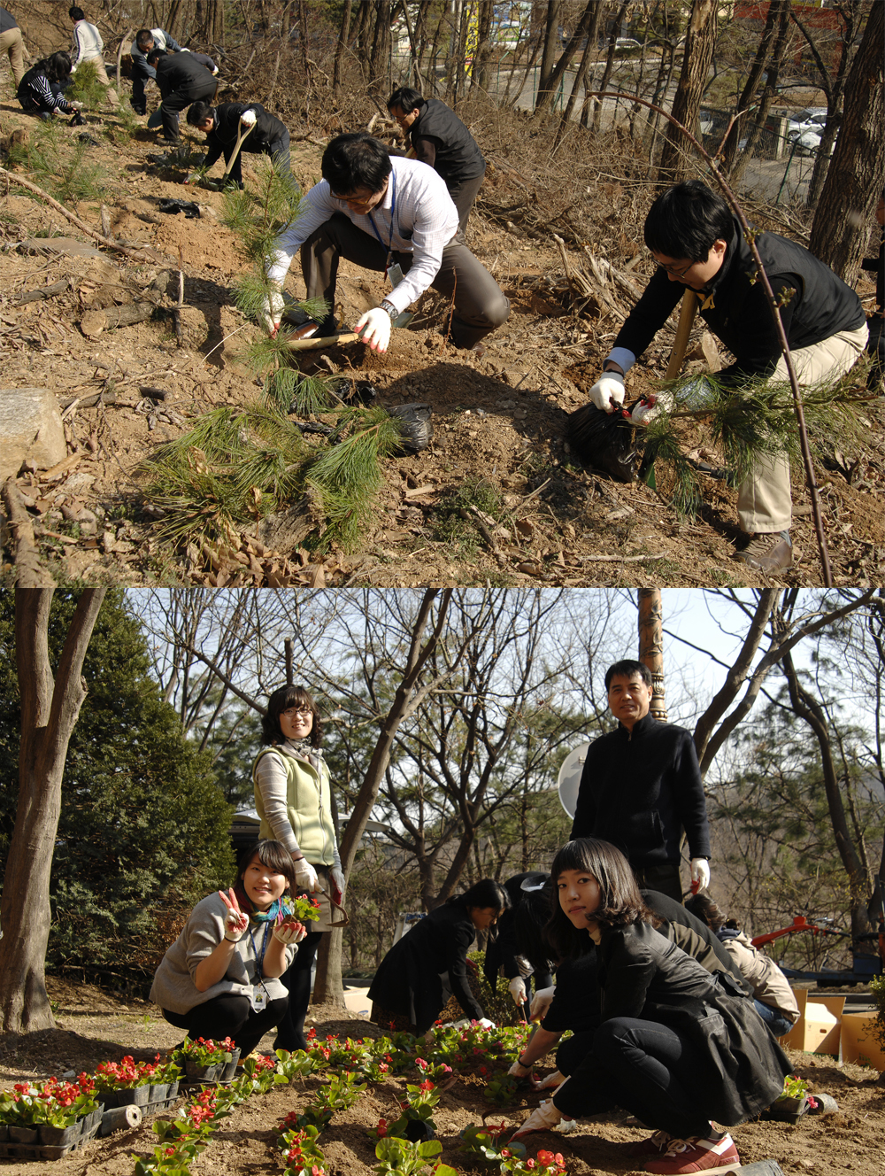 0405 식목일행사