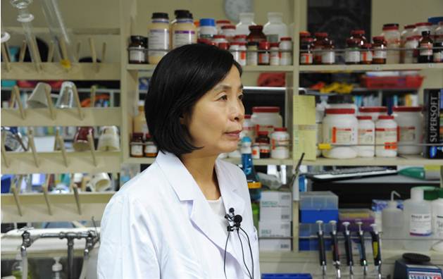 0306 참깨로 치매예방 하태열 박사 인터뷰 촬영